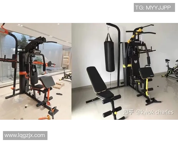 提升健身效果的哑铃椅子选择指南与使用技巧分享